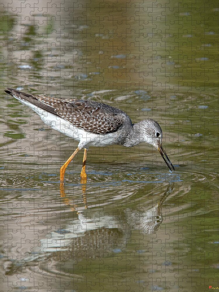 Nature Jigsaw Puzzle featuring the photograph Lesser Yellowlegs Sandpiper DMSB0195 by Gerry Gantt