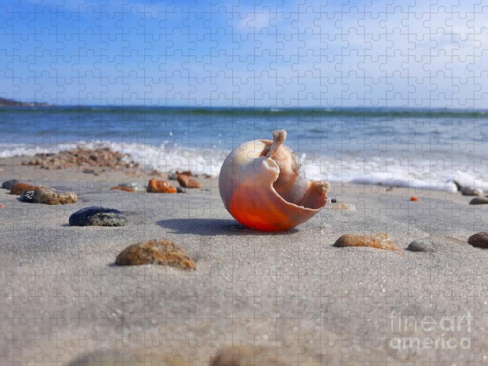 Shell Jigsaw Puzzle featuring the photograph Let The Sunshine In/ Inner Peace by Dani McEvoy
