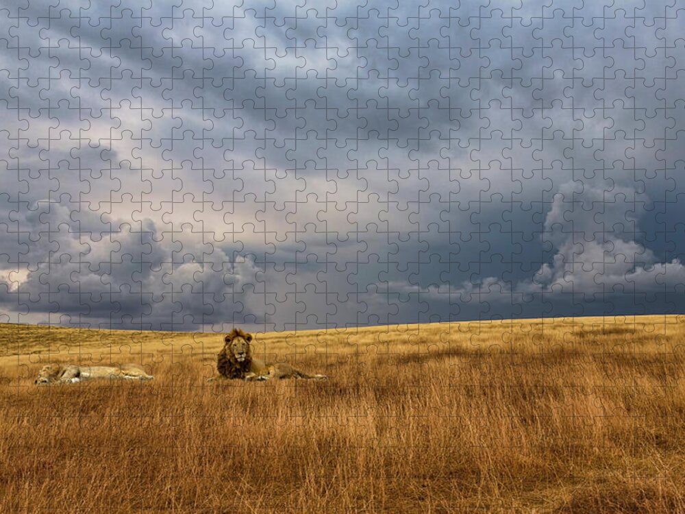 Scenics Jigsaw Puzzle featuring the photograph Lions In Serengeti National Park by John Wang
