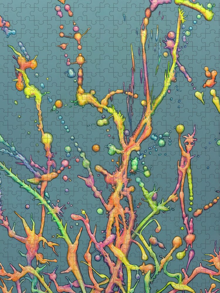 Liquid Jigsaw Puzzle featuring the painting Liquid Rainbow by James W Johnson