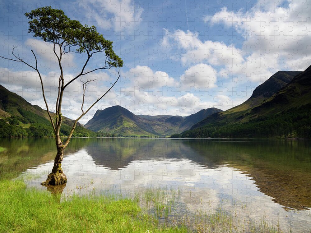 Water's Edge Jigsaw Puzzle featuring the photograph Lone Tree At Buttermere by Simonbradfield