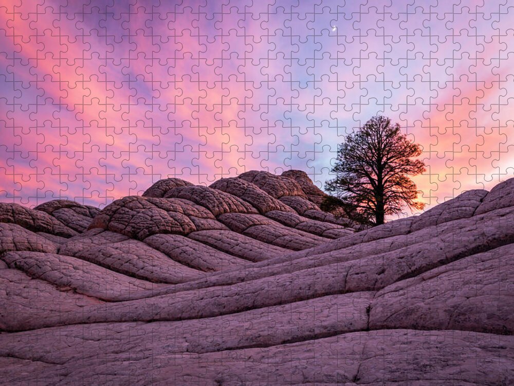 White Pocket Jigsaw Puzzle featuring the photograph Lone Tree at White Pocket by Wasatch Light