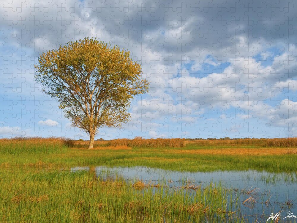 Autumn Jigsaw Puzzle featuring the photograph Lone Tree by a Wetland by Jeff Goulden
