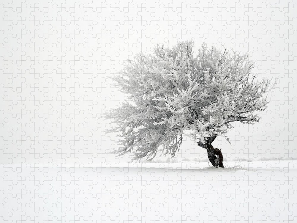 Scenics Jigsaw Puzzle featuring the photograph Lone Tree In Snow Covered Field by Mandarinetree