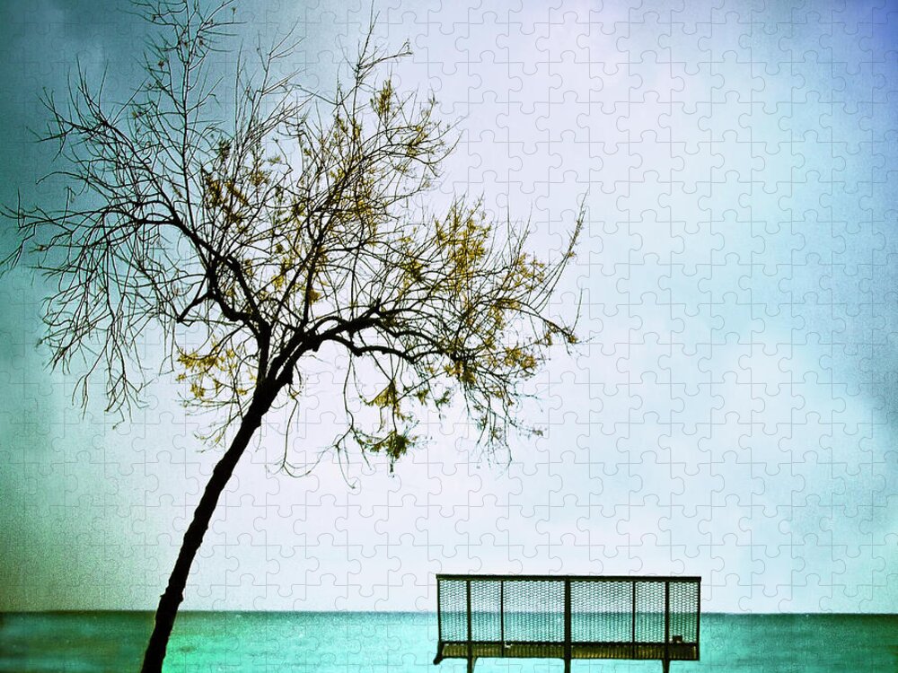 Scenics Jigsaw Puzzle featuring the photograph Lonely Tree And Empty Bench By Sea by Inmacor