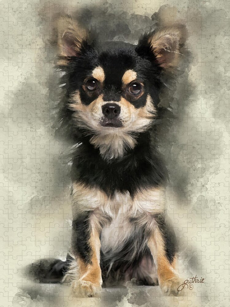 Long Haired Chihuahua Jigsaw Puzzle by John Guthrie - Pixels