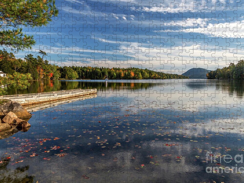 Maine Jigsaw Puzzle featuring the photograph Looking Out by Karin Pinkham