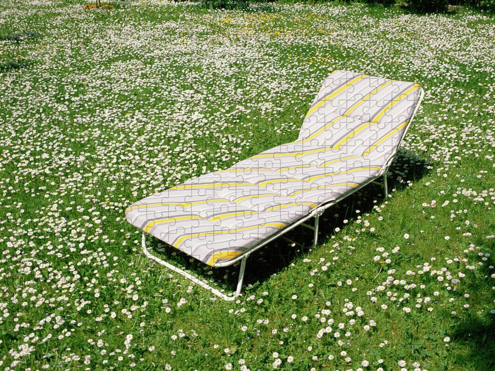 Outdoors Jigsaw Puzzle featuring the photograph Lounge Chair In Meadow by Jupiterimages