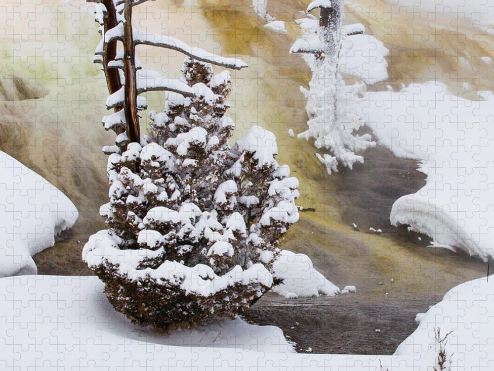 Sebastian Kennerknecht Jigsaw Puzzle featuring the photograph Mammoth Hot Springs In Winter by Sebastian Kennerknecht