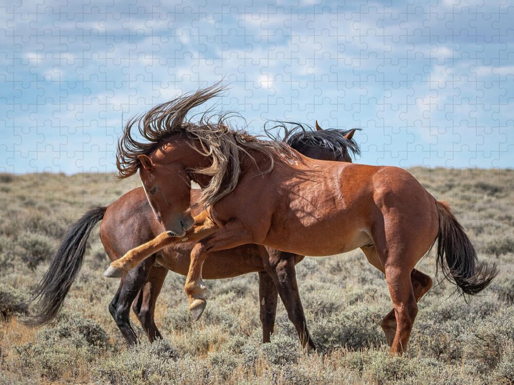 Wild Horses Jigsaw Puzzle featuring the photograph Mane for days by Mary Hone