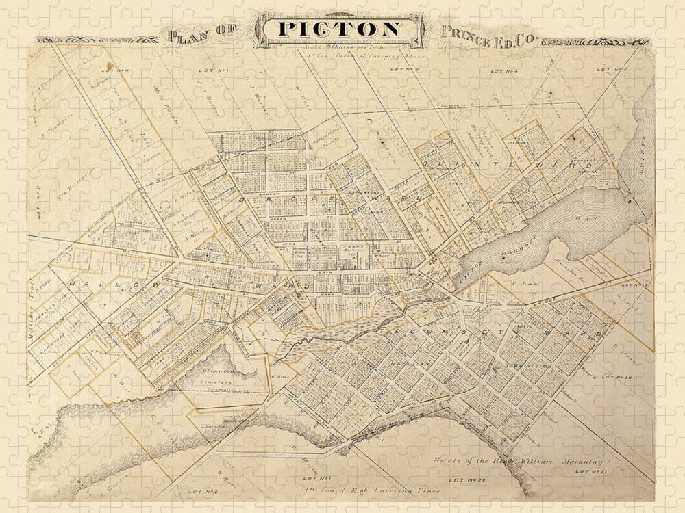 Map Of Picton Jigsaw Puzzle featuring the photograph Map Of Picton 1878 by Andrew Fare