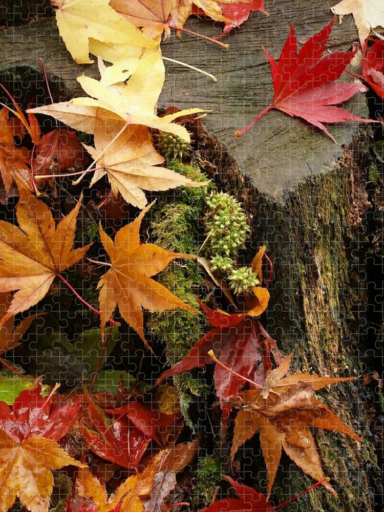 Orange Color Jigsaw Puzzle featuring the photograph Maple Leaves On Tree Stump by Atwag
