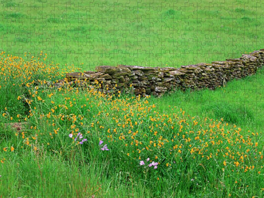 Scenics Jigsaw Puzzle featuring the photograph Meadow With Stone Wall And Wildflowers by Mint Images - David Schultz