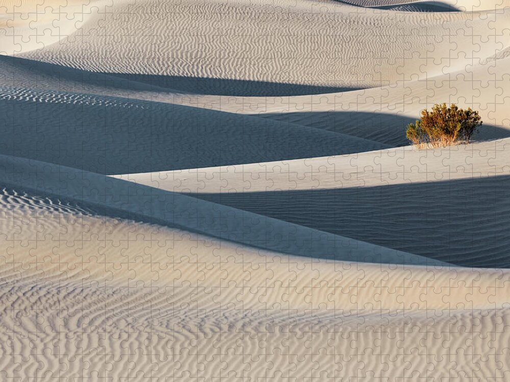Scenics Jigsaw Puzzle featuring the photograph Mesquite Dunes, Death Valley by Chris Moore - Exploring Light Photography