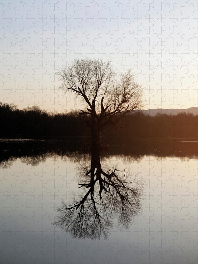 Tranquility Jigsaw Puzzle featuring the photograph Mirror Image Of A Tree At Sunset On A by Michael Duva