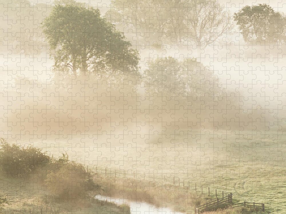 Mist Jigsaw Puzzle featuring the photograph Mist in the Vale by Anita Nicholson
