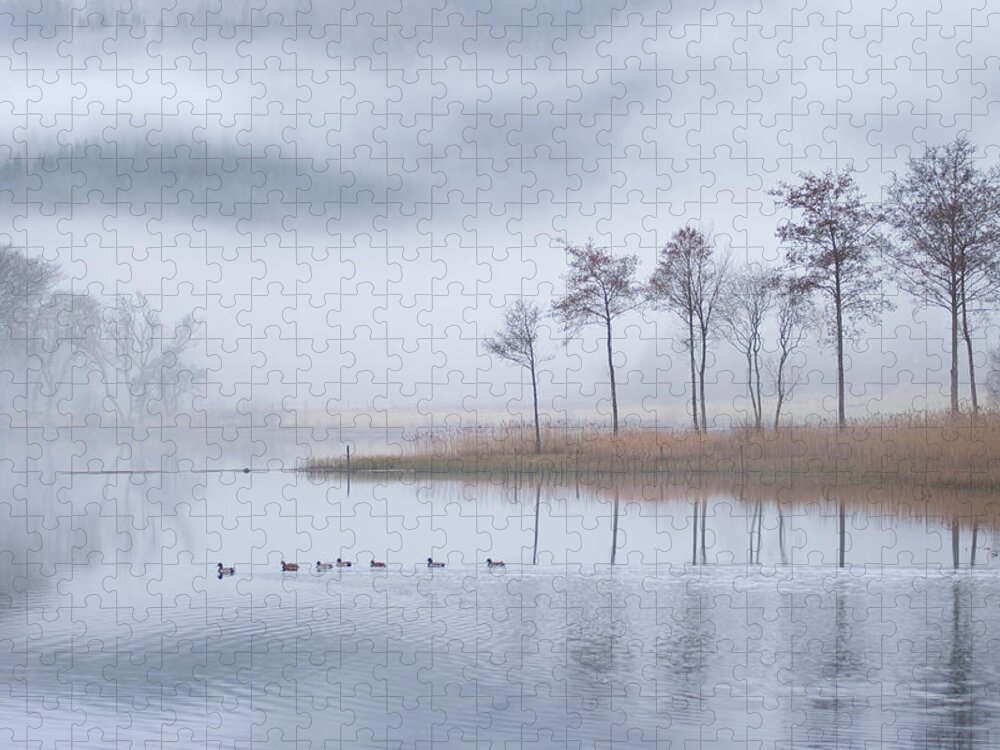 Animal Themes Jigsaw Puzzle featuring the photograph Misty Loch Ard by David Hannah