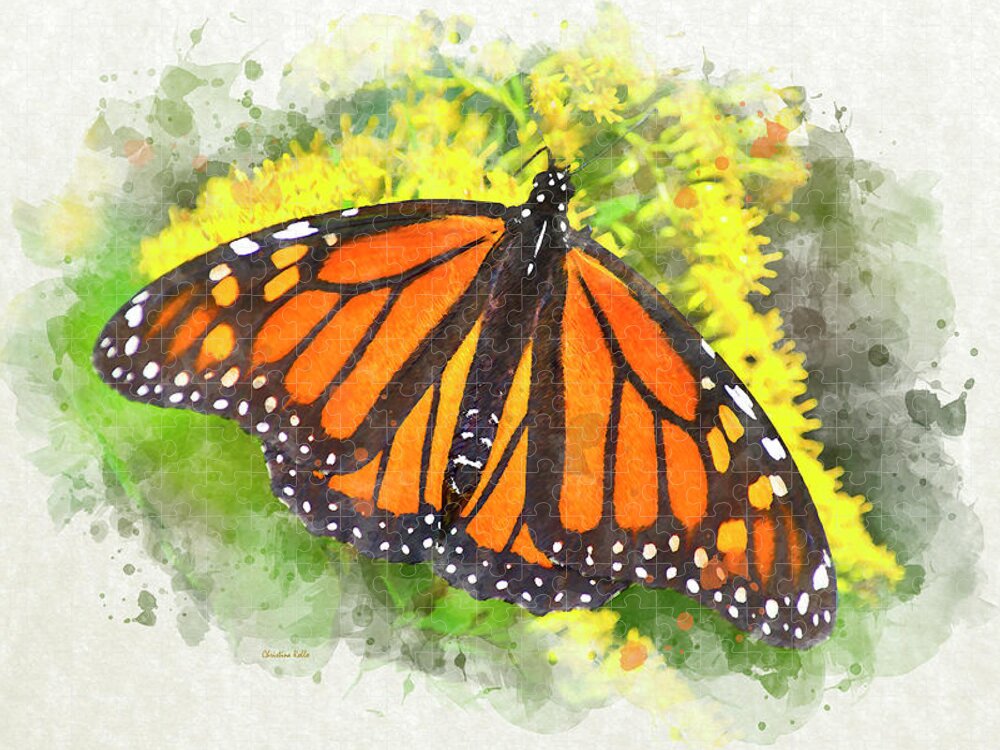 Butterfly ART PRINT homemade butterfly painting from Canada original watercolour illustration wall art for home Monarch Butterflies