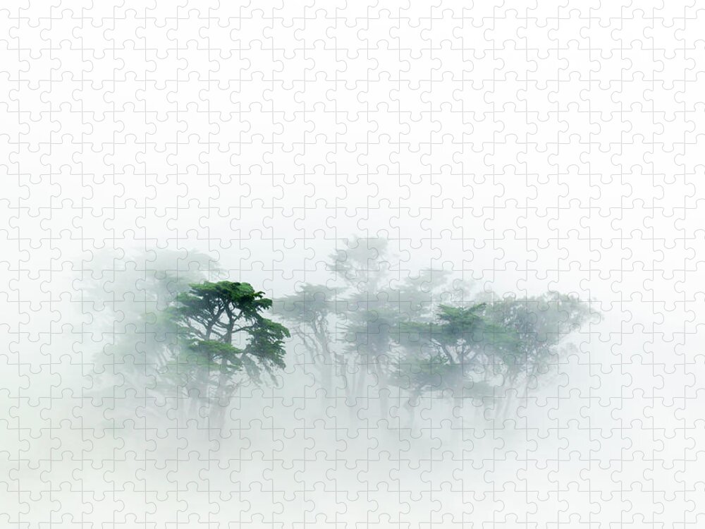 Sebastian Kennerknecht Jigsaw Puzzle featuring the photograph Monterey Cypress In The Fog by Sebastian Kennerknecht