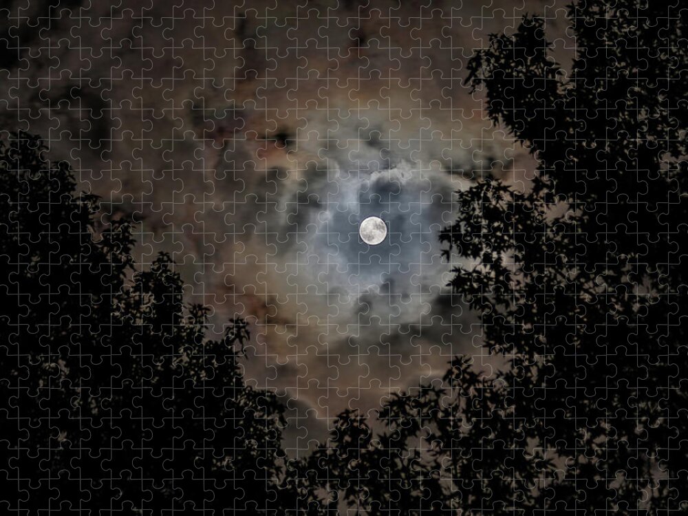 Moon Jigsaw Puzzle featuring the photograph Moon and Clouds 2 by Allin Sorenson
