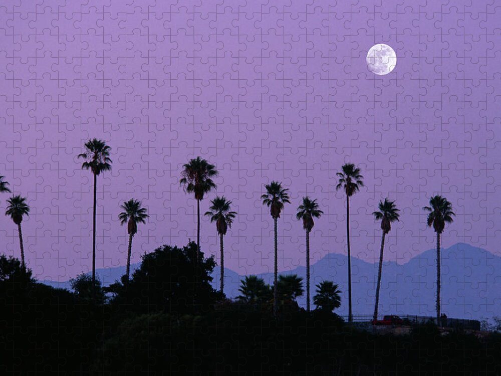 Scenics Jigsaw Puzzle featuring the photograph Moon Over Palm Trees At Dusk by Grant Faint
