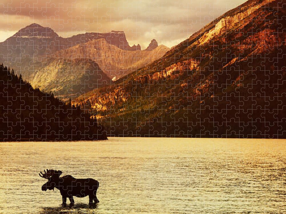Waterton Jigsaw Puzzle featuring the photograph Moose In Lake With High Mountains by Hdsidesign