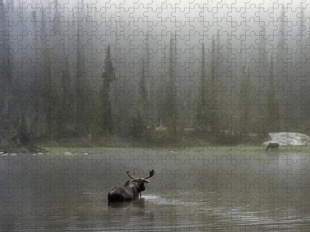 Idaho Jigsaw Puzzle featuring the photograph Moose in the Mist Photograph by Kimberly Walker
