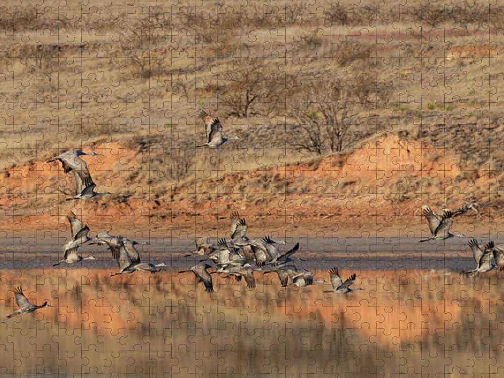 Richard E. Porter Jigsaw Puzzle featuring the photograph Morning Flight - Muleshoe Wildlife Refuge, Texas by Richard Porter