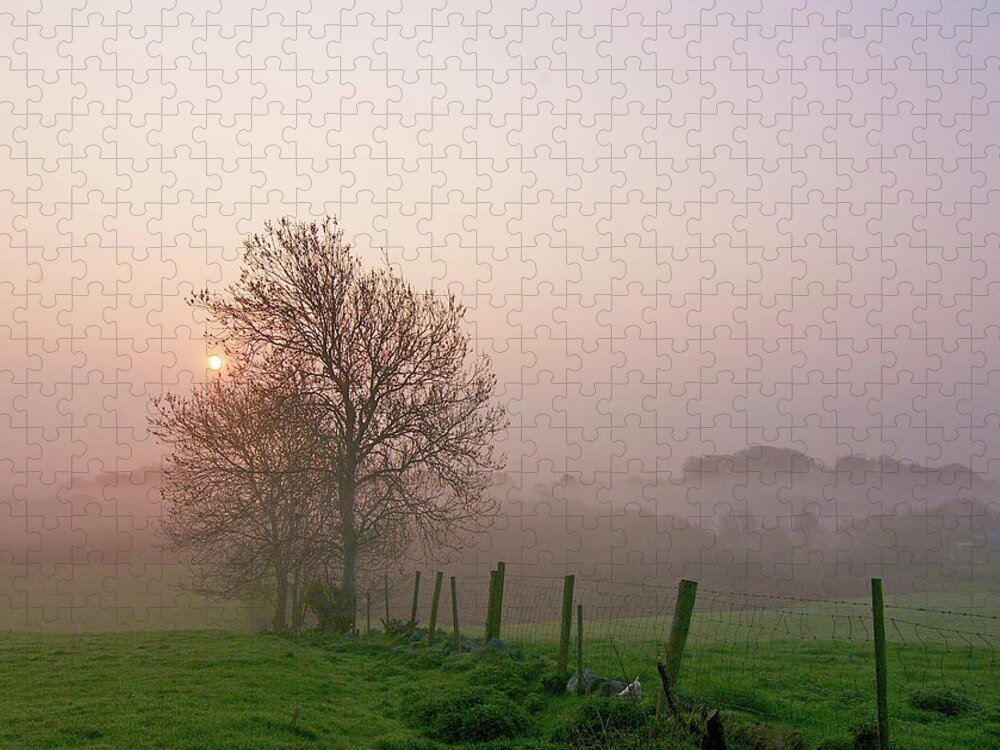 Scenics Jigsaw Puzzle featuring the photograph Morning Mist by //tom O Hare// Images//