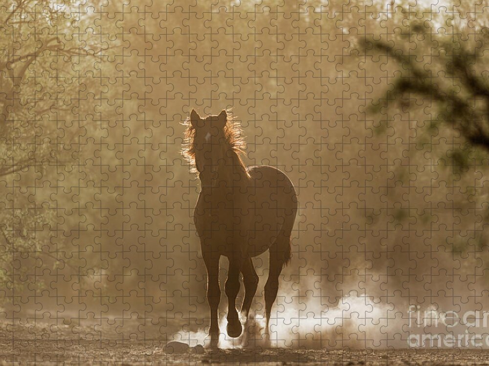 Stallion Jigsaw Puzzle featuring the photograph Morning Run by Shannon Hastings