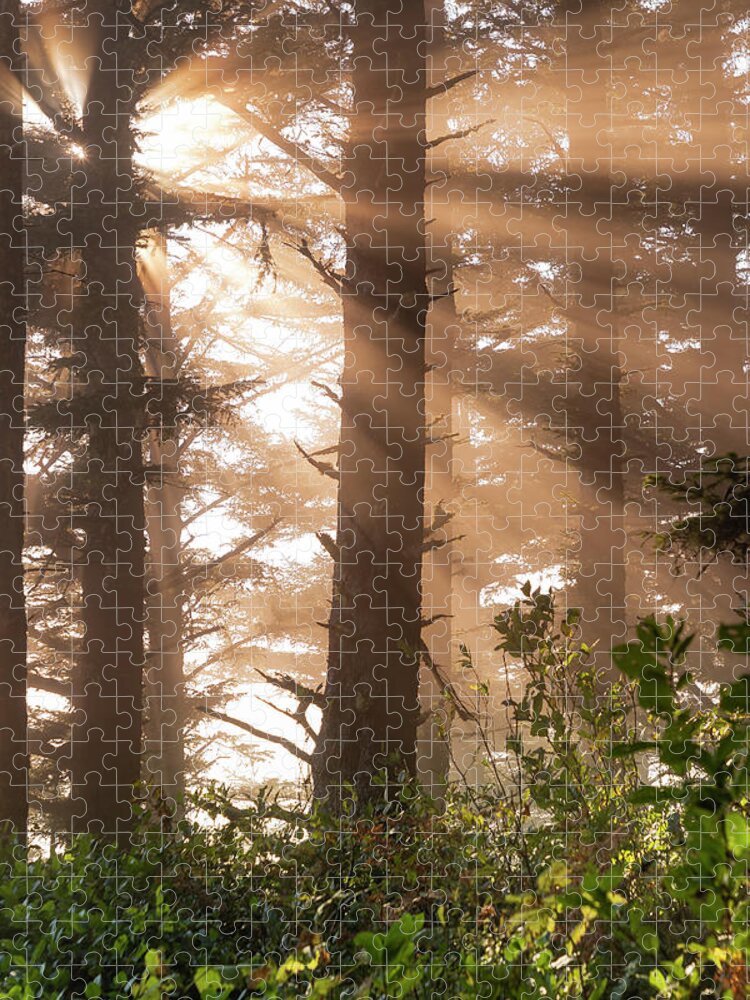 Forest Sun Ray Jigsaw Puzzle featuring the photograph Woodsmoke by Scott Slone