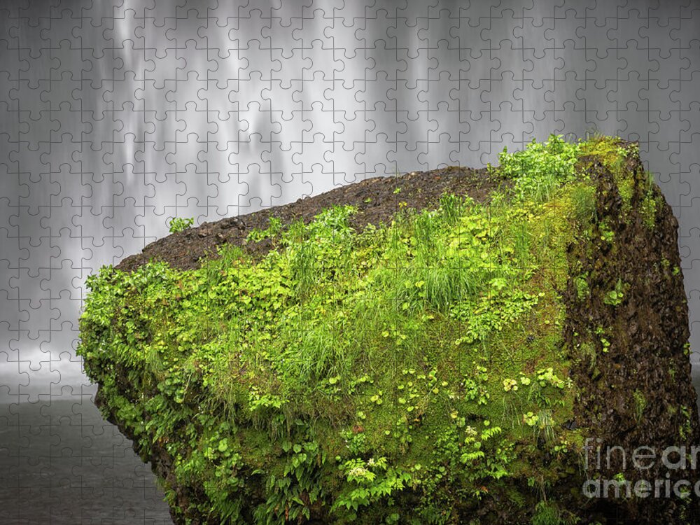 Mossy Boulder Jigsaw Puzzle featuring the photograph Mossy Boulder At Multnomah Falls by Doug Sturgess
