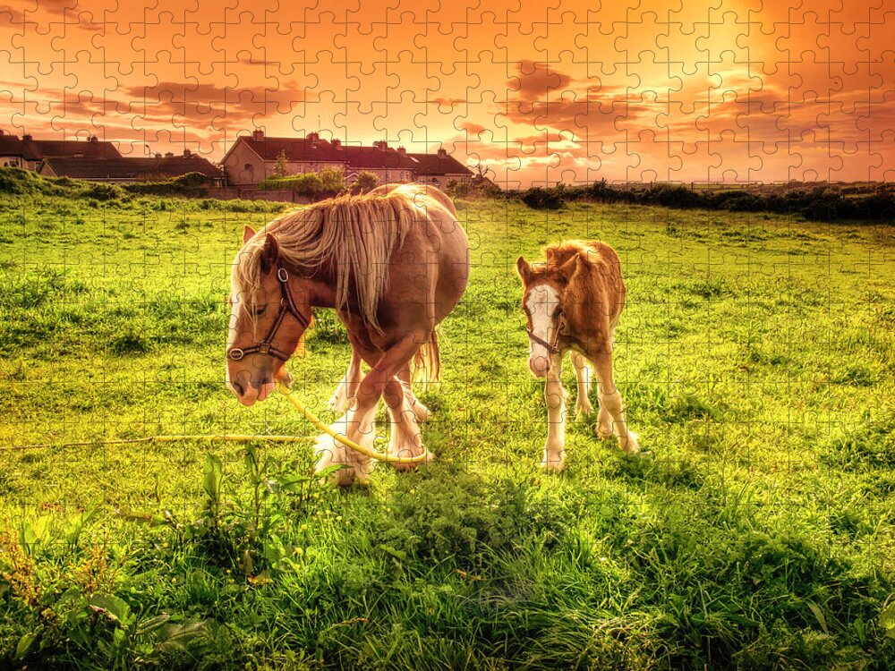 Horse Jigsaw Puzzle featuring the photograph Mother And Foal by Fergal O'callaghan