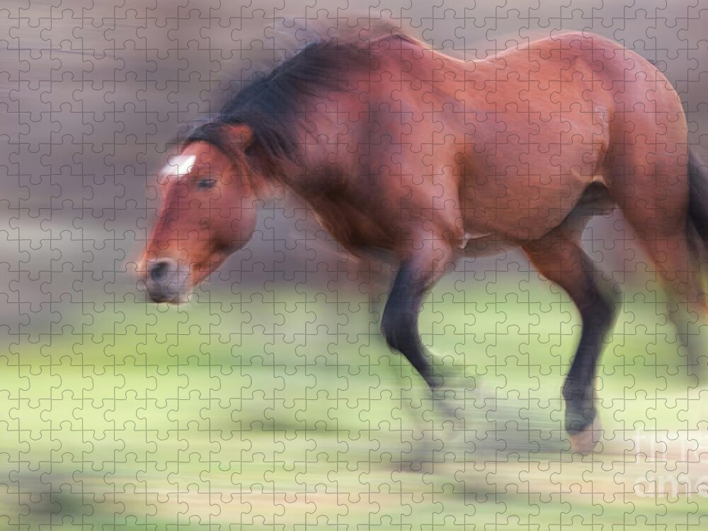 Action Jigsaw Puzzle featuring the photograph Motion by Shannon Hastings