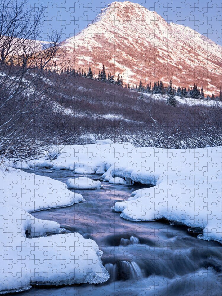 Ice Jigsaw Puzzle featuring the photograph Mountain Stream in Winter by Tim Newton