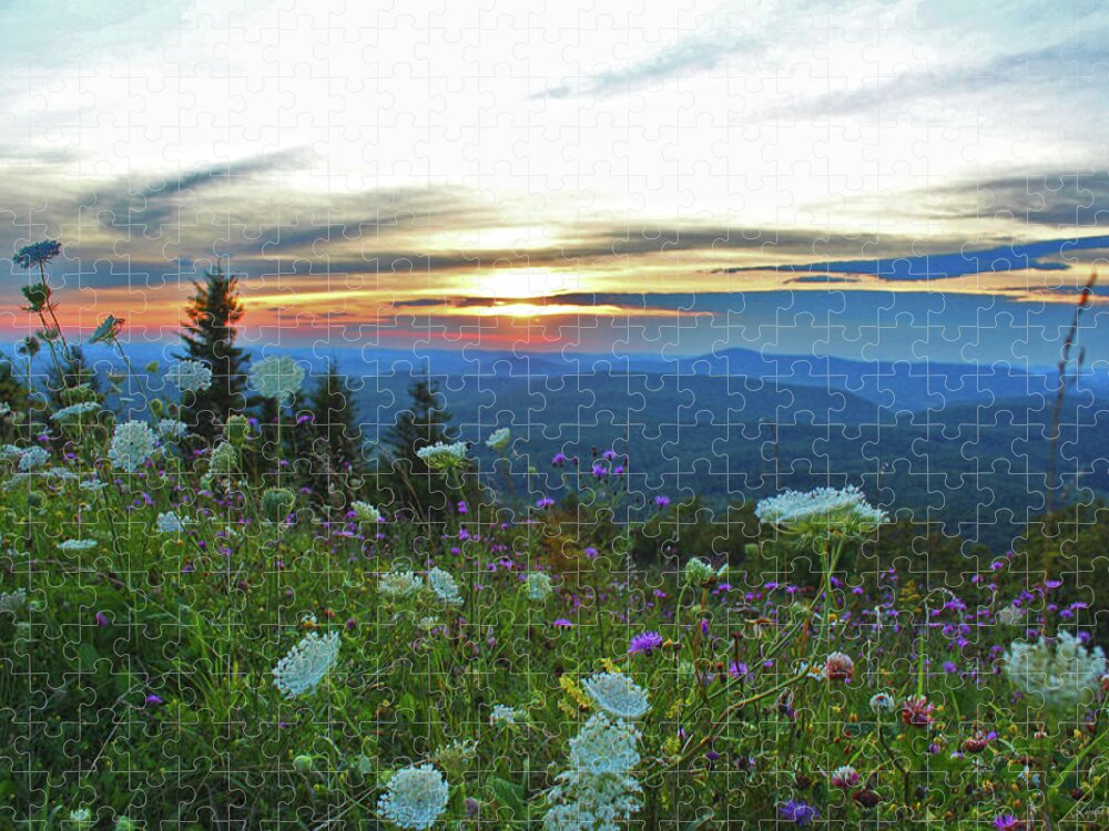 Mountain Wildflowers Jigsaw Puzzle featuring the photograph Mountain Wildflowers by Linda Sannuti