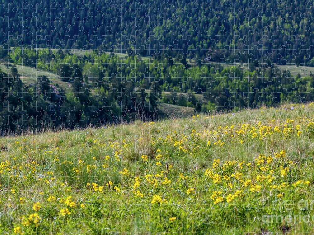 Wildflowers Jigsaw Puzzle featuring the photograph Mountain Wildflowers by Steven Krull
