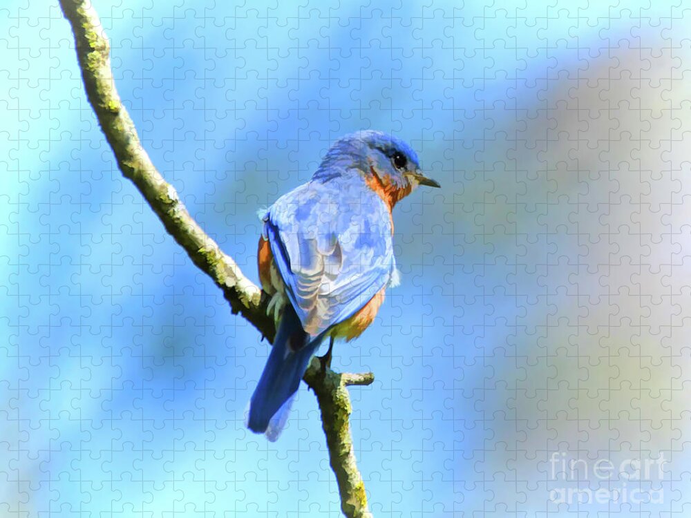 Bluebird Jigsaw Puzzle featuring the photograph Mr Bluebird - Male Bluebird Art by Kerri Farley