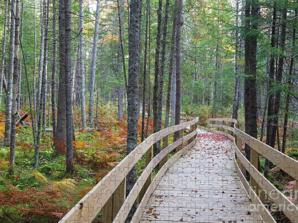 Boardwalk Jigsaw Puzzle featuring the photograph Mud Pond Trail - Pondicherry Wildlife Refuge, New Hampshire by Erin Paul Donovan