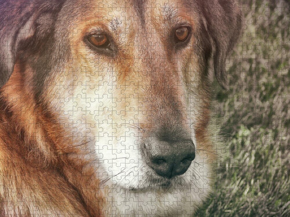 Dog Jigsaw Puzzle featuring the photograph Murphy by JAMART Photography