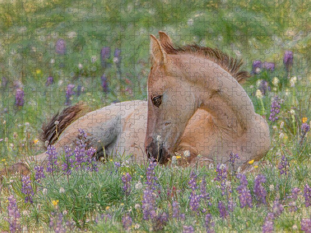 Wild Mustangs Jigsaw Puzzle featuring the photograph Wild Mustang Foal in the Wildflowers by Marcy Wielfaert