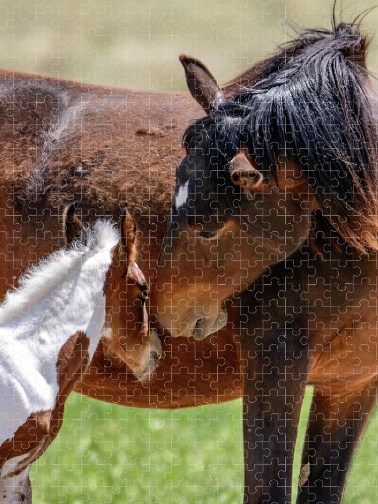 Horses Jigsaw Puzzle featuring the photograph My Little one by Mary Hone