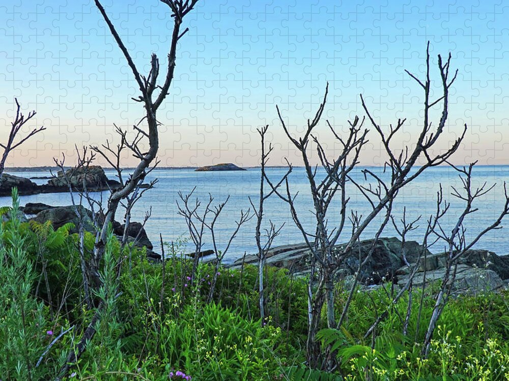 Nahant Jigsaw Puzzle featuring the photograph Nahant MA Egg Rock through the Trees by Toby McGuire