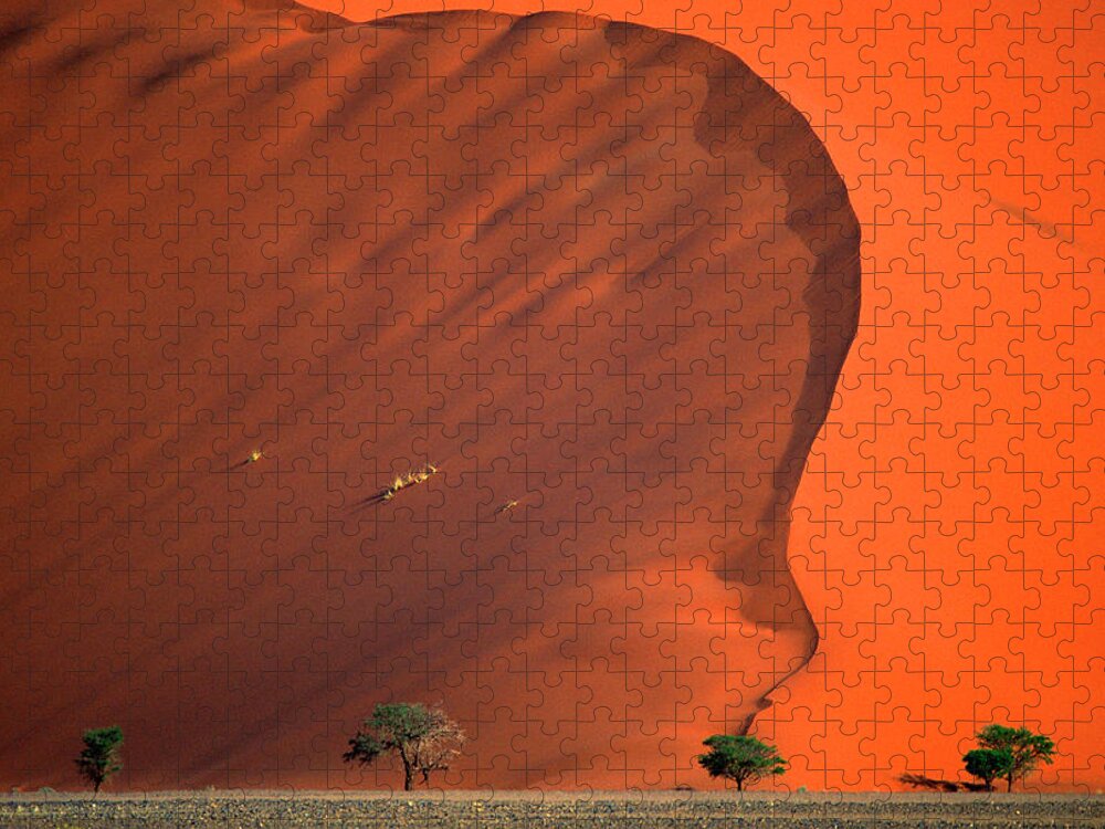 Tranquility Jigsaw Puzzle featuring the photograph Namib Desert by Vittorio Ricci - Italy