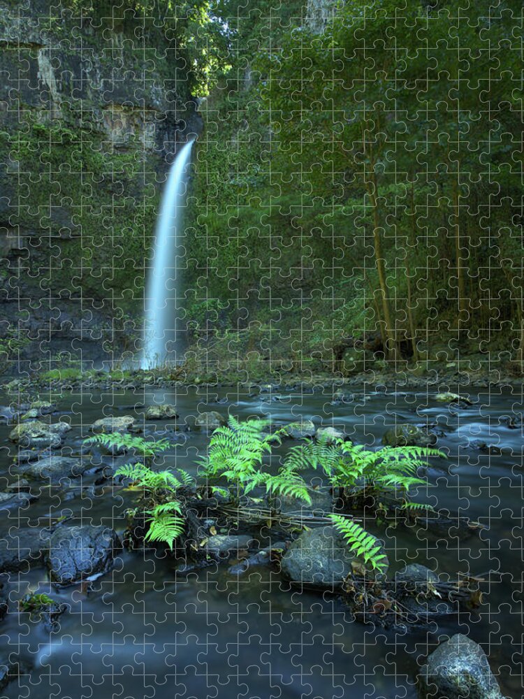 Ancient Jigsaw Puzzle featuring the photograph Nandroya Fall by Nicolas Lombard