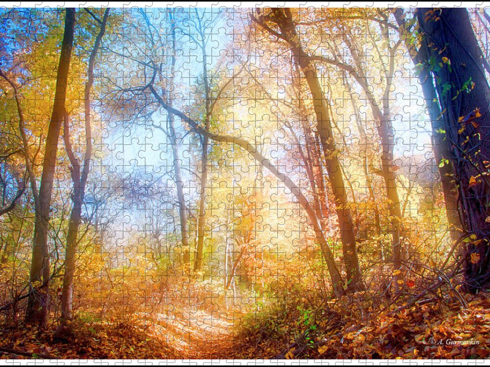 Narrow Path Jigsaw Puzzle featuring the photograph Narrow Path in a Forest, Autumn by A Macarthur Gurmankin
