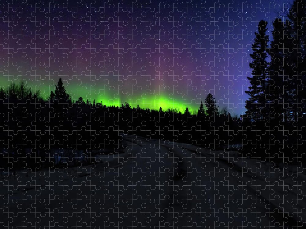 Northern Lights Jigsaw Puzzle featuring the photograph Night Dancer by Susan Rissi Tregoning