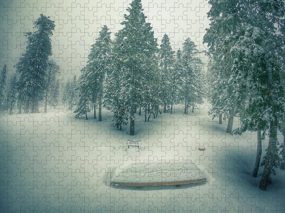 Winter Jigsaw Puzzle featuring the photograph No Picnic by Mark Ross