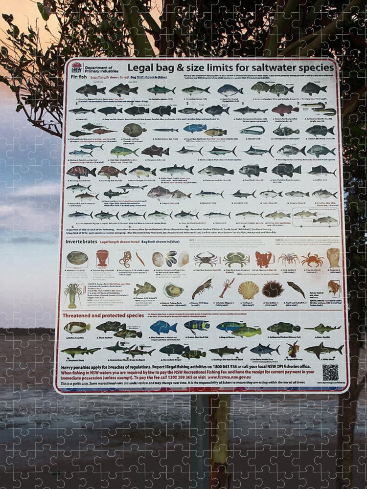 NSW Recreational Fishing Jigsaw Puzzle by Miroslava Jurcik - Pixels