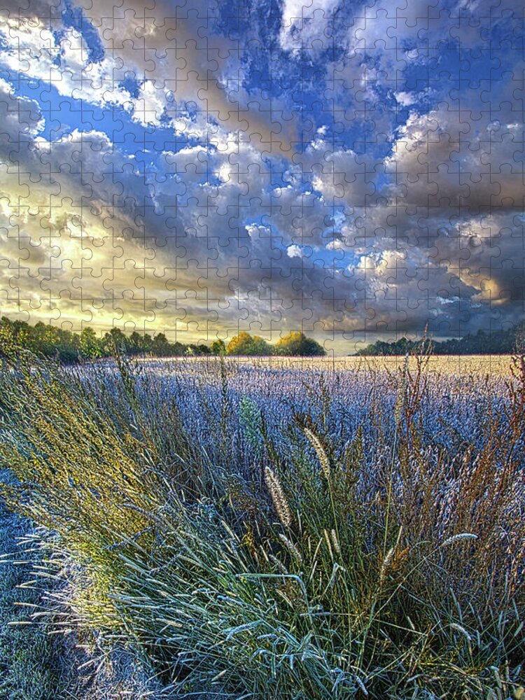 Life Jigsaw Puzzle featuring the photograph Obscuring Summer's Memory by Phil Koch